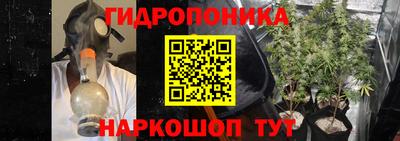 тгк Заволжье
