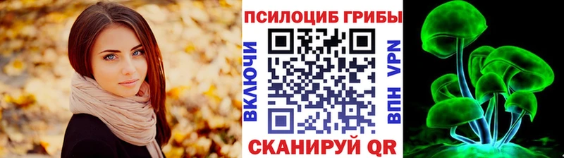 Псилоцибиновые грибы GOLDEN TEACHER  Нижний Новгород 