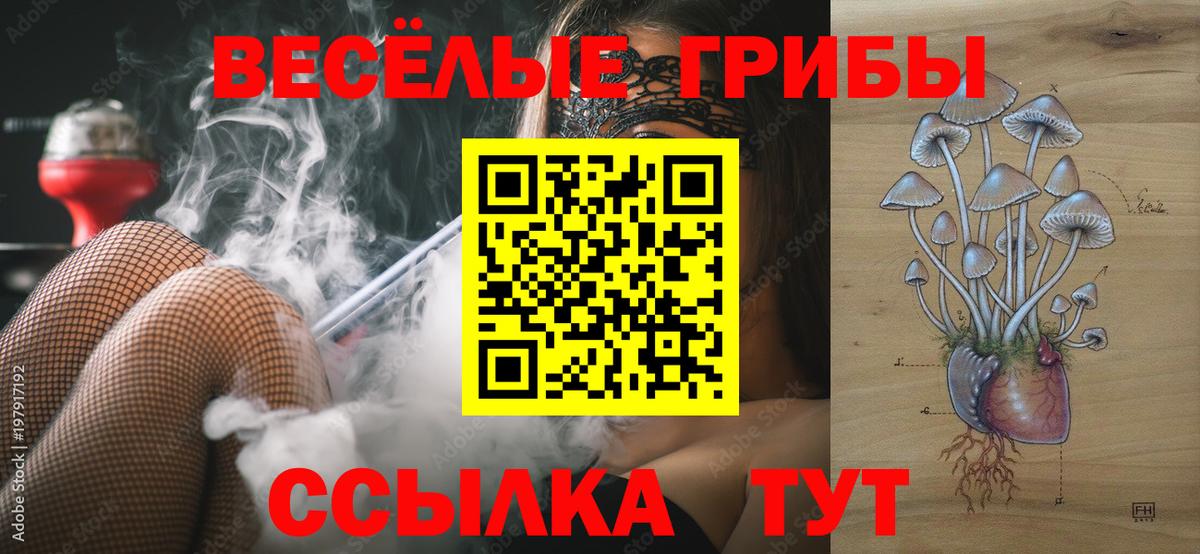 Галлюциногенные грибы Psilocybine cubensis  Вход с VPN  Нижний Новгород 