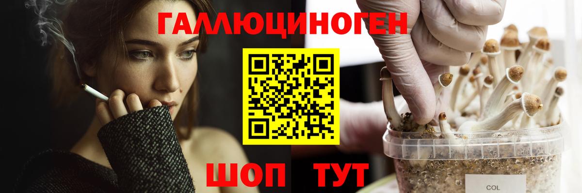 Галлюциногенные грибы мицелий Нижний Новгород